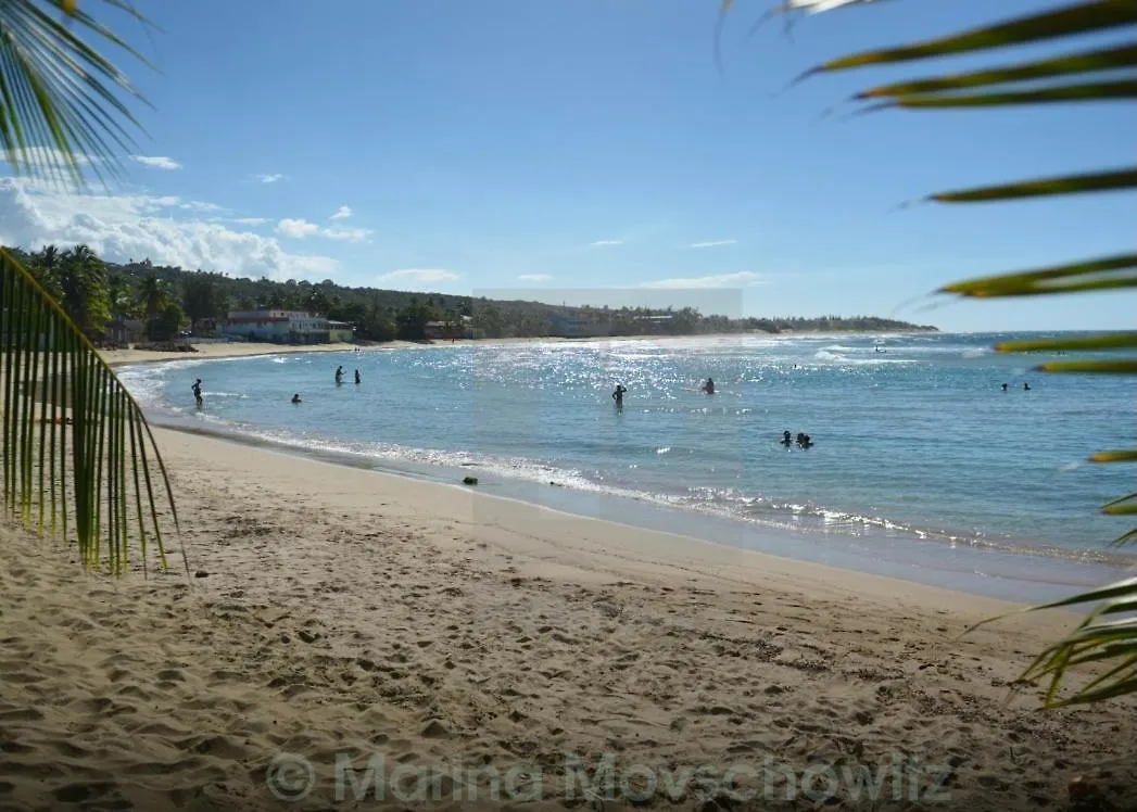 Apartment Walk To The Beach 2Min, Cozy, Boutique, Pool, Palmeras Del Mar Isabela Puerto Rico